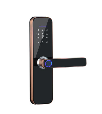 qualidade  Tuya Smart Door Lock Series Door Locks WIFI Fingerprint Cheap Zinc Alloy Phone Smart Door Lock Work With TT LOCK APP fábrica